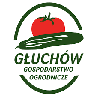 logo-gogluchow