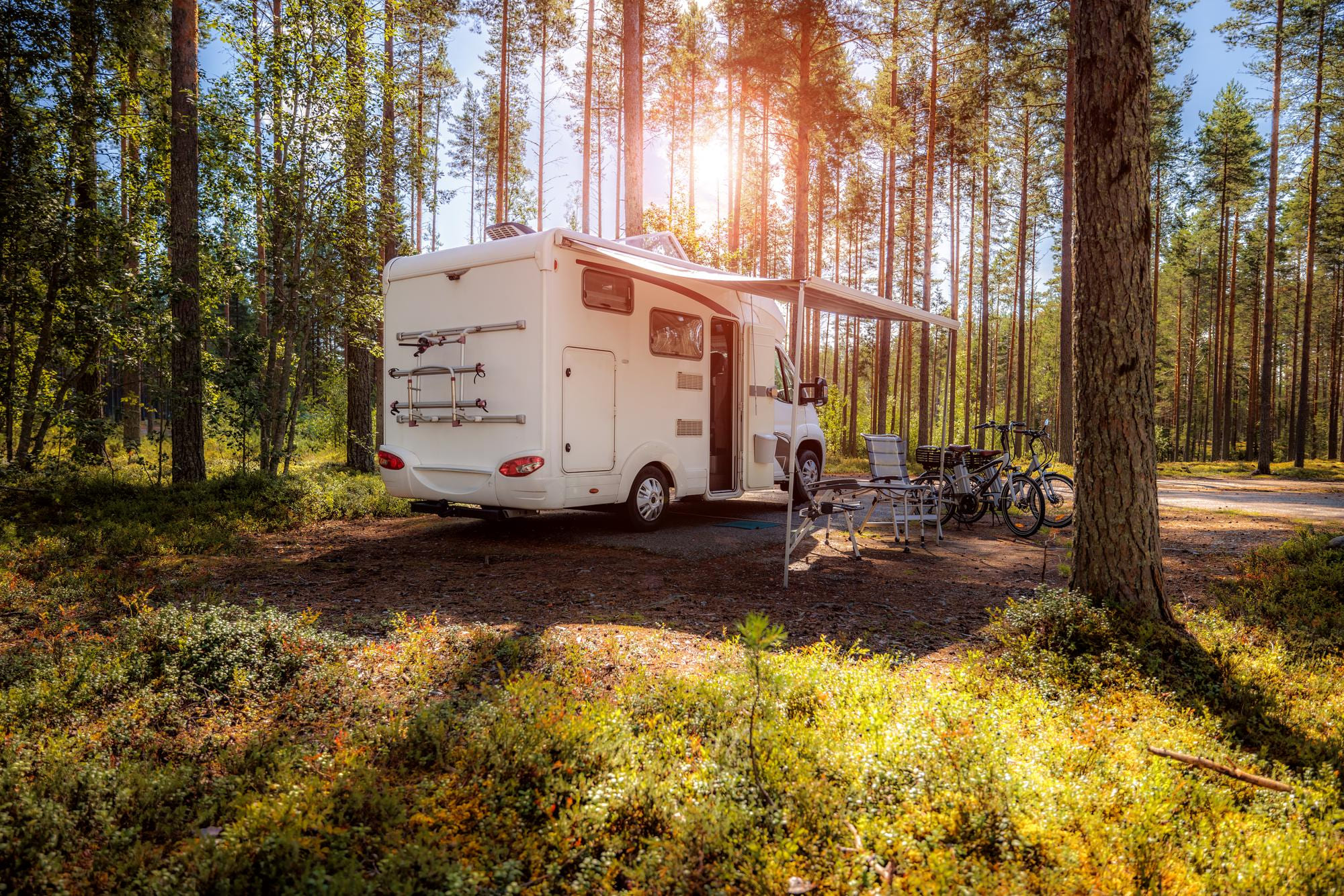 Camper stojący w lesie bo kierowca sprawdza co Instrukcja obsługi kampera w chmurze mówi na temat obsługi toalety